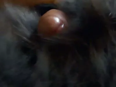 மஞ்சில் அந்நியருடன் ஒரு செக்ஸ் சாகசத்திற்கு MILF தயாராக உள்ளது